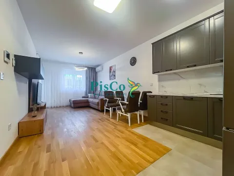 Rent, one bedroom apartment, 47m², Stari Aerodrom, Podgorica - image 1