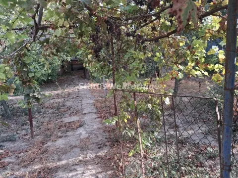 Staza u dvorištu natkrivena vinovom lozom. - image 12