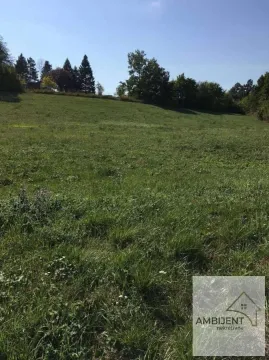 Pogled na zelenu livadu i okolno rastinje. - image 2