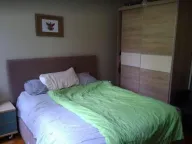 Izdavanje, kuća, 390m², Savski Venac, Beograd - image 14