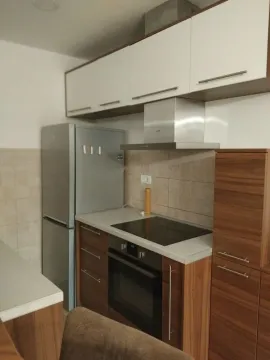 Stan-na-dan, jednosoban stan, 43m², Ljubović, Podgorica - image 6