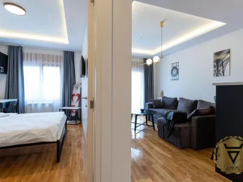 Izdavanje, jednosoban stan, 43m², Južni Bulevar, Vračar Sve Podlokacije - image 3