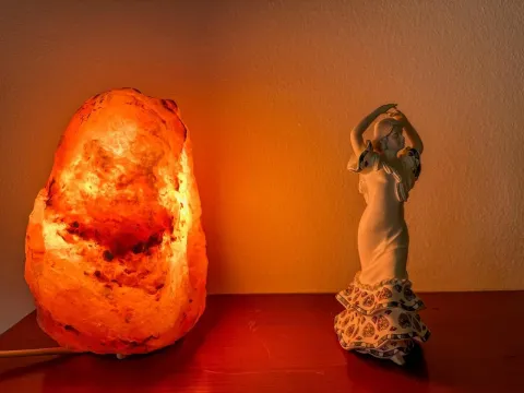 Izdavanje, jednosoban stan, 52m², Preko Morače, Podgorica - image 11