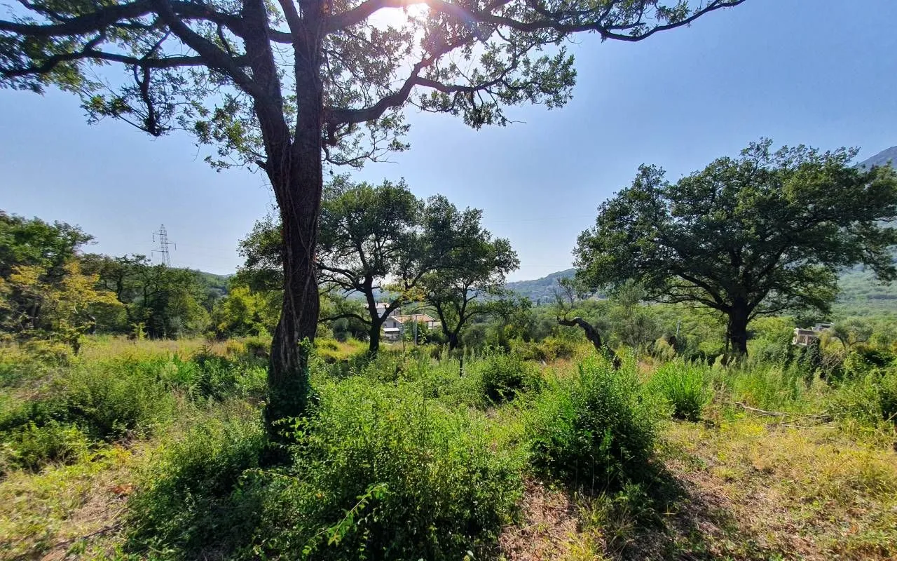 Prodaja, plac, 4200m², Bjeliši, Bar