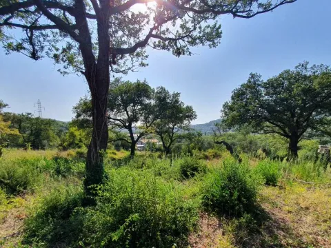 Prodaja, plac, 4200m², Bjeliši, Bar - image 2