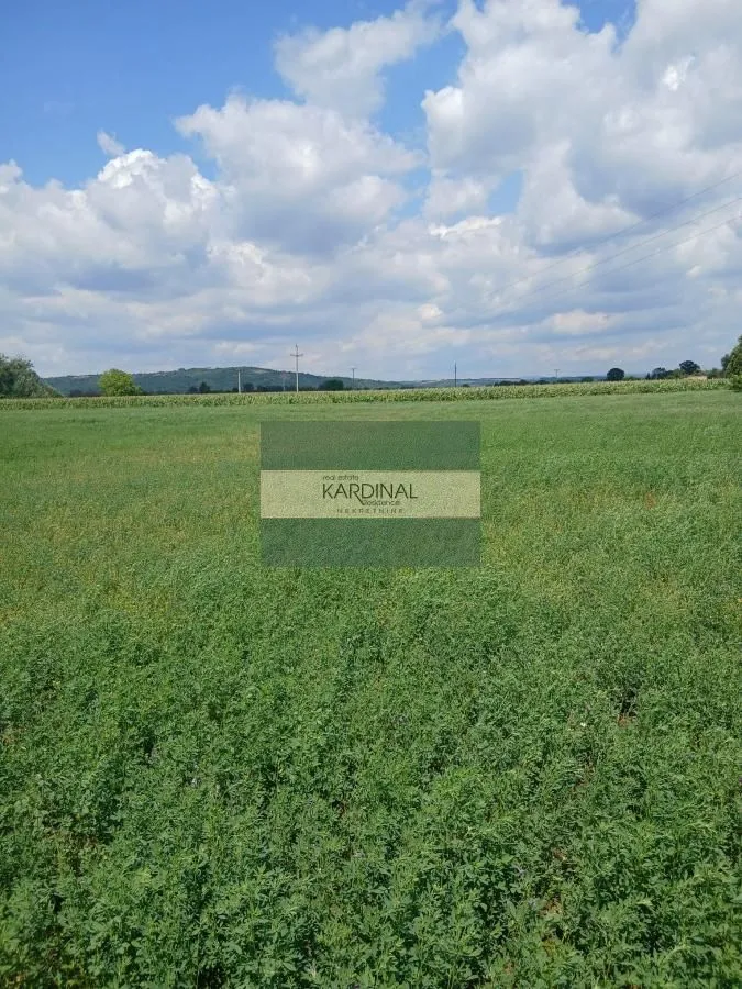 Prodaja, plac, 7500m², Novo Lanište, Jagodina