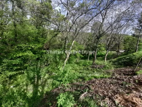 Pogled na šumoviti deo parcele sa bujnim zelenilom i drvećem. - image 14
