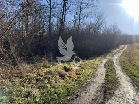 Prodaja, plac, 4000m², Koraćica, Mladenovac - image 2