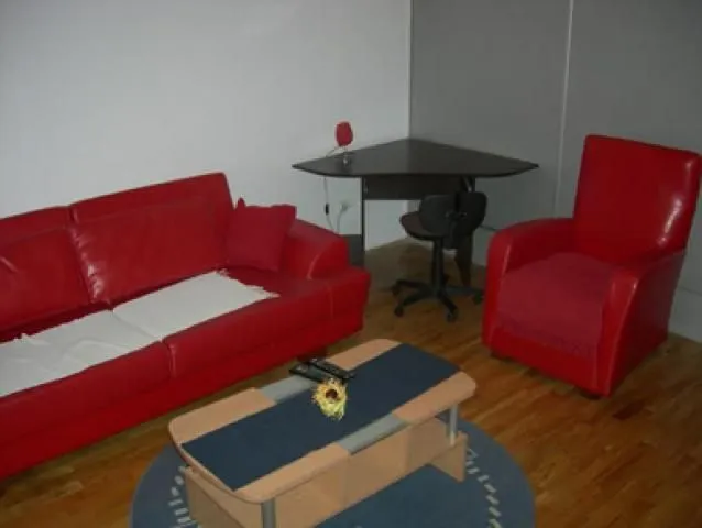 Rent, one bedroom apartment, 37m², Slavija, Vračar Sve Podlokacije