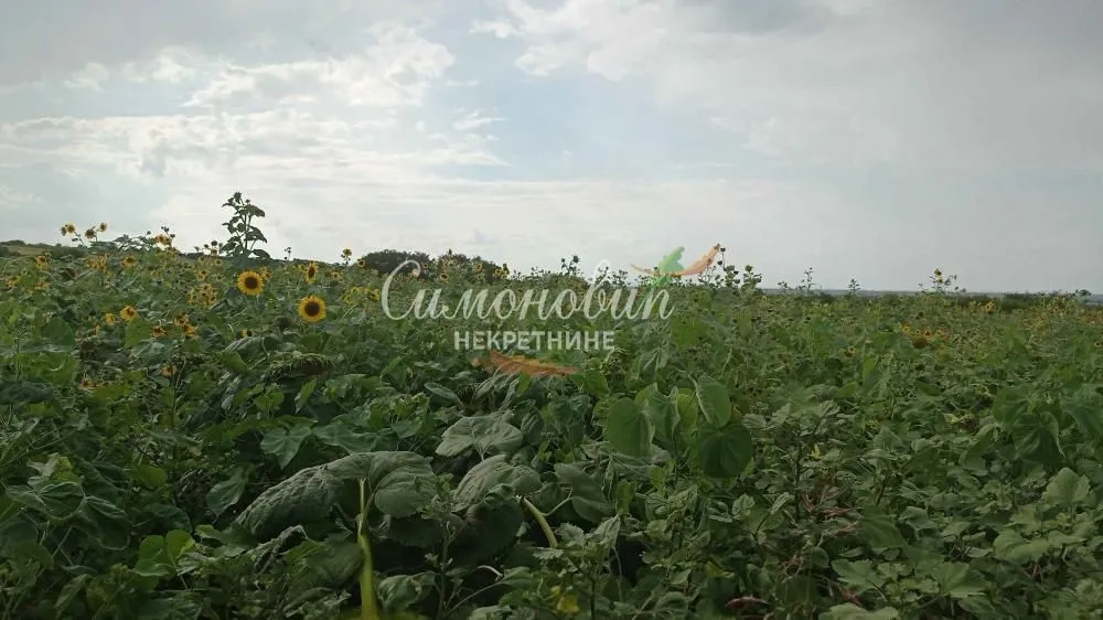 Sale, land lot, 2800m², Železnik, Beograd