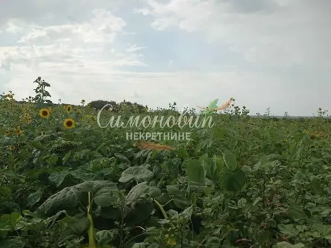 Sale, land lot, 2800m², Železnik, Beograd - image 8