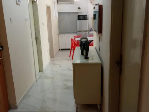 Izdavanje, dvosoban stan, 56m², Preko Morače, Podgorica - image 5