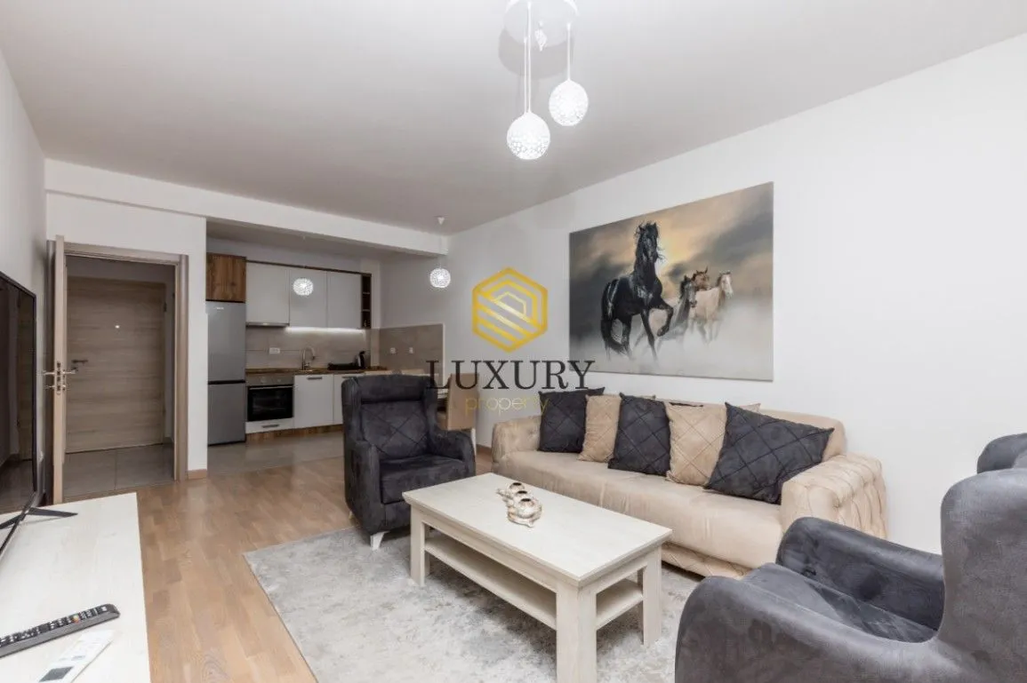 Rent, one bedroom apartment, 54m², Zabjelo, Podgorica