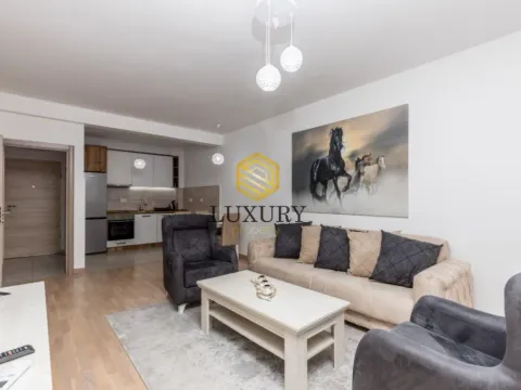 Izdavanje, jednosoban stan, 54m², Zabjelo, Podgorica - image 8