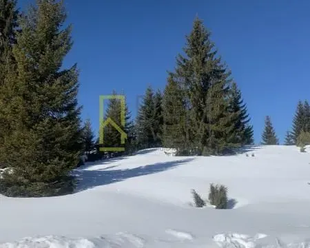 Prodaja, plac, 400m², Žabljak, Crna Gora - image 5