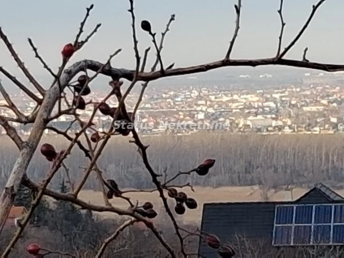 Prodaja, plac, 14994m², Ledinci, Petrovaradin