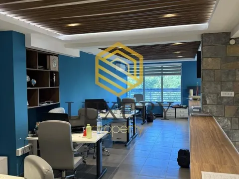 Izdavanje, poslovni prostor, 180m², 1 maj, Podgorica - image 7