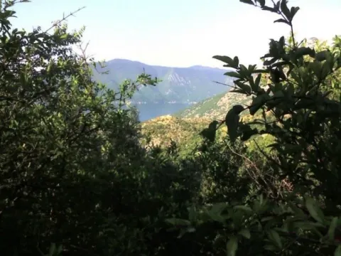 Prodaja, plac, 4068m², Risan, Kotor - image 4