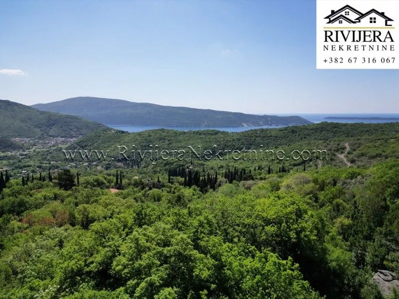 Prodaja, plac, 13123m², Sasovići, Herceg Novi