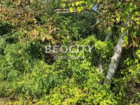 Sale, land lot, 26m², Popović, Rača - image 4