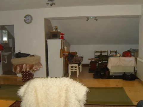 Prodaja, kuća, 360m², Tabane, Jagodina - image 5