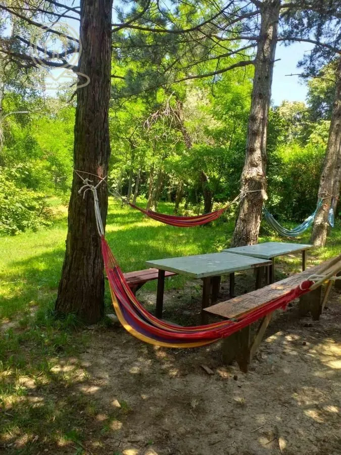 Prodaja, kuća, 367m², Irig, Srbija