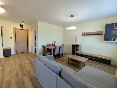 Izdavanje, dvosoban stan, 48m², Centar, Subotica - image 2
