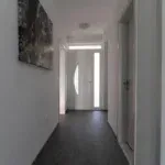 Rent, one bedroom apartment, 67m², Petrovac, Budva - image 4