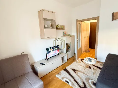 Izdavanje, stan, 27m², Zabjelo, Podgorica - image 10