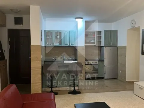Izdavanje, dvosoban stan, 69m², Zabjelo, Podgorica - image 4
