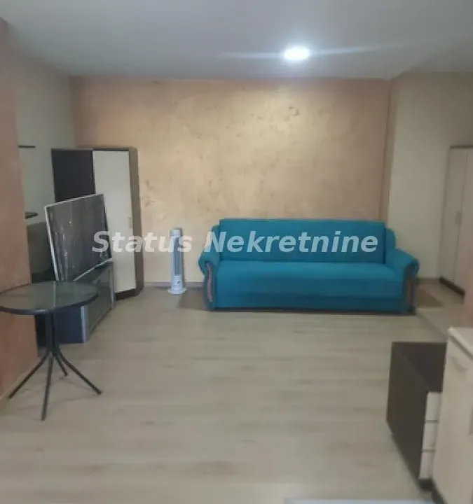 Izdavanje, jednosoban stan, 40m², Veternik, Novi Sad Sve Podlokacije