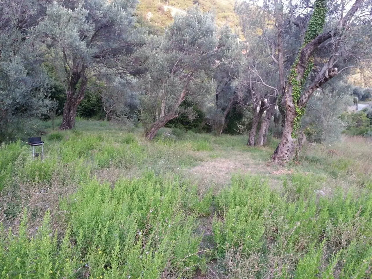 Prodaja, plac, 673m², Petrovac, Budva