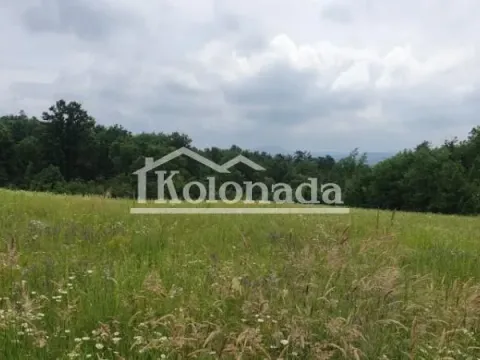 Prodaja, plac, 16303m², Sopot, Beograd - image 4