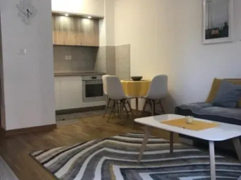 Izdavanje, jednosoban stan, 43m², City Kej, Podgorica - image 3
