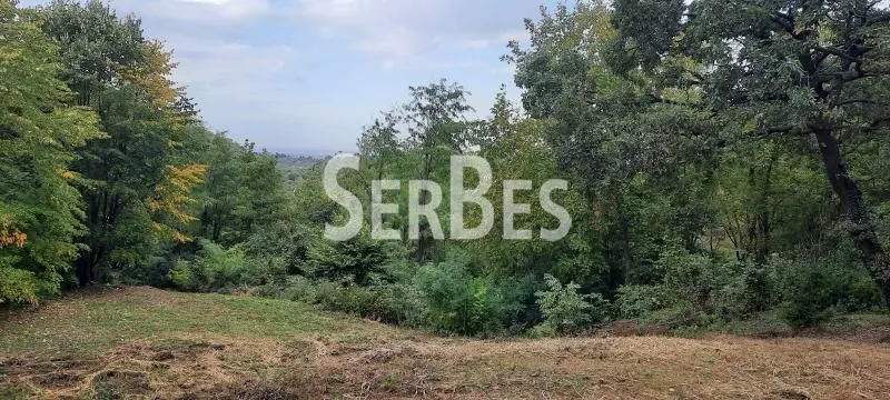 Prodaja, plac, 1120m², Petrovaradin, Novi Sad
