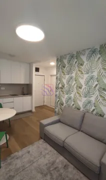 Living room with a sofa and botanical-patterned wallpaper, connected to the kitchen. - image 13