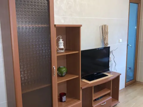 Izdavanje, jednosoban stan, 42m², Centar, Podgorica - image 3