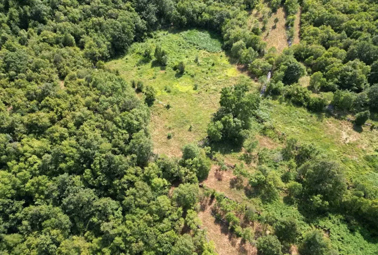 Prodaja, plac, 49000m², Bar, Crna Gora