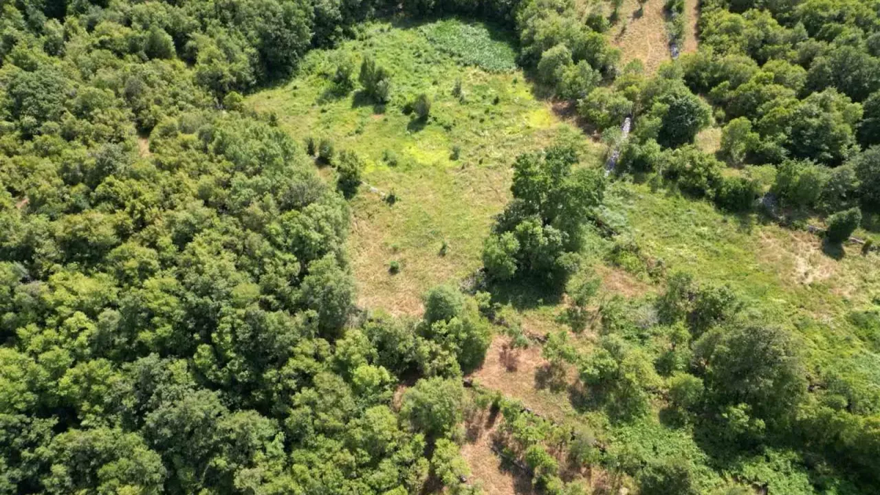 Prodaja, plac, 49000m², Bar, Crna Gora