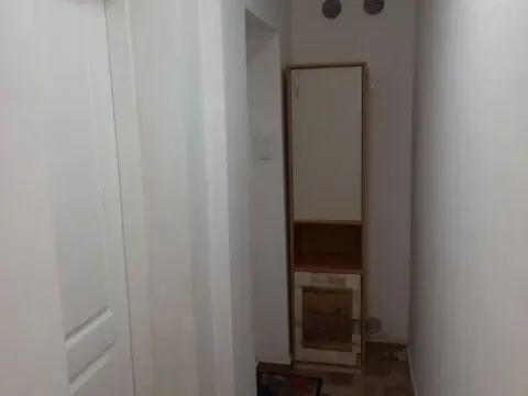 Prodaja, jednosoban stan, 30m², Zemun Sve Podlokacije, Beograd - image 6