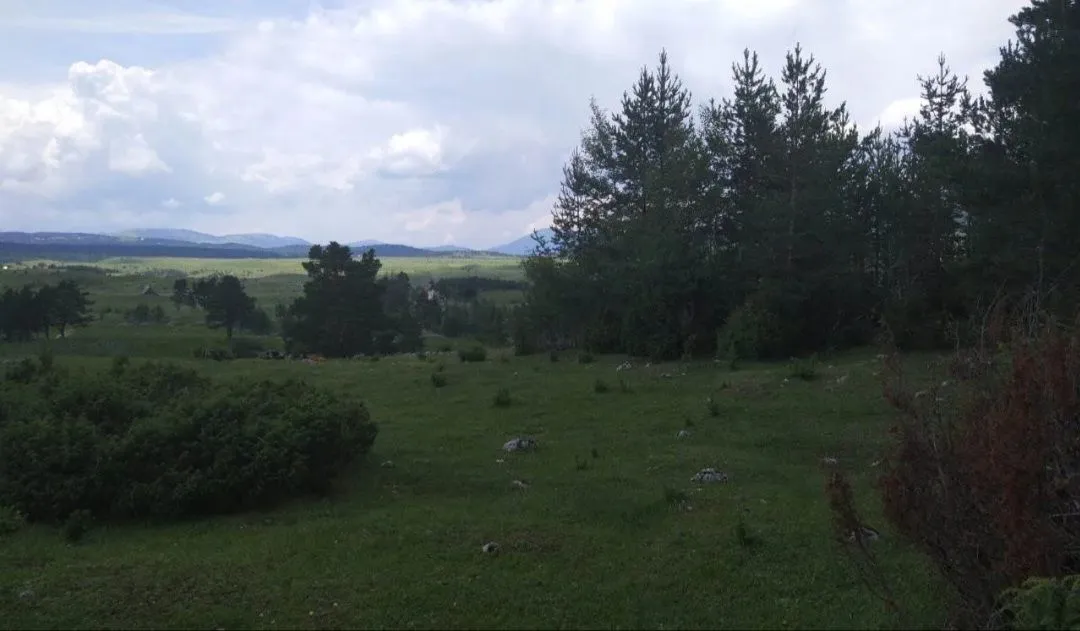 Prodaja, plac, 12000m², Žabljak, Crna Gora
