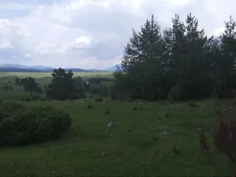 Prodaja, plac, 12000m², Žabljak, Crna Gora - image 9