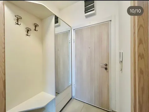 Rent, one bedroom apartment, 45m², Blok 9, Podgorica - image 8