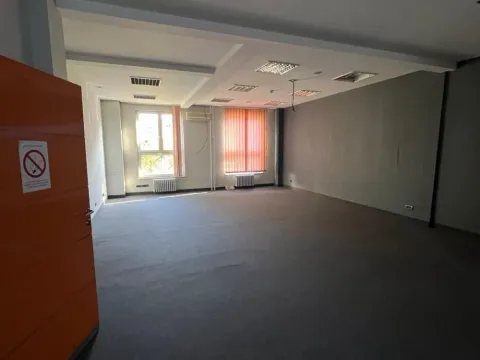 Izdavanje, poslovni prostor, 201m², Botanička Bašta, Palilula Sve Podlokacije - image 5