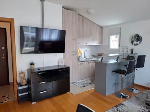 Izdavanje, jednosoban stan, 48m², Blok 9, Podgorica - image 3