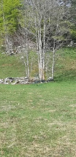 Prodaja, plac, 6692m², Kolašin, Crna Gora