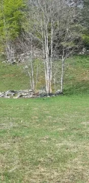 Prodaja, plac, 6692m², Kolašin, Crna Gora - image 8