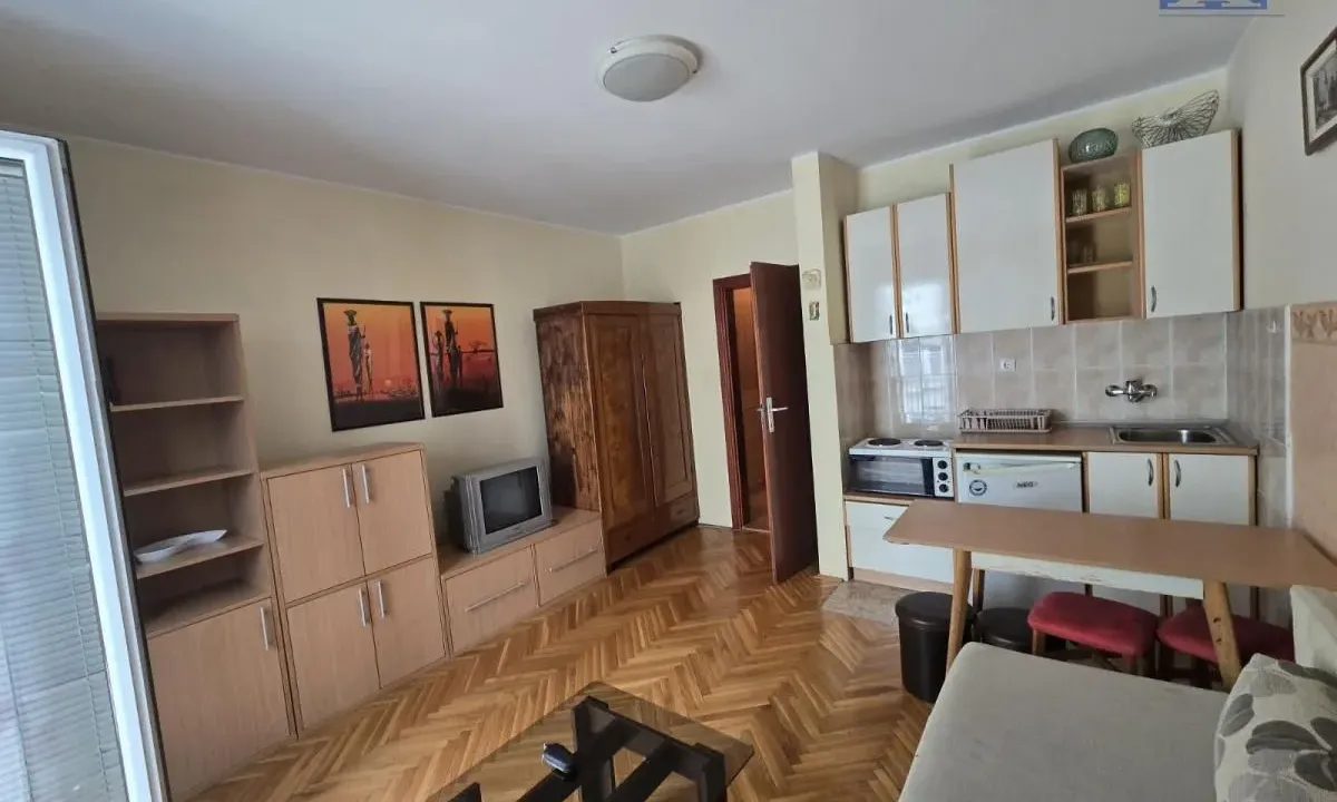 Izdavanje, garsonjera, 25m², Bulevar Oslobodjenja, Novi Sad Sve Podlokacije