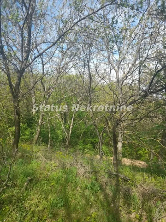 Prodaja, plac, 9283m², Irig, Srbija