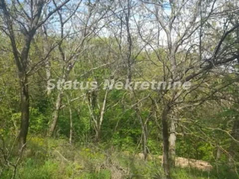 Sale, land lot, 9283m², Irig, Srbija - image 2